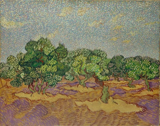 Olive Trees by Vincent van Gogh