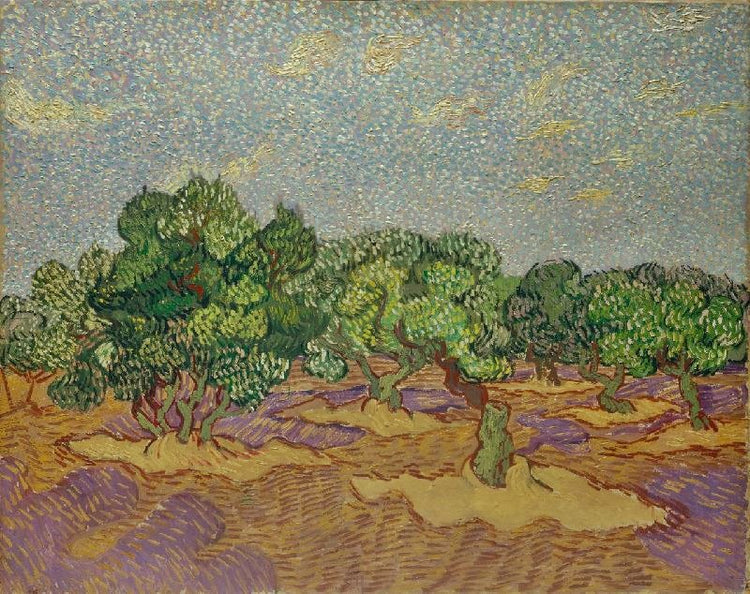 Olive Trees by Vincent van Gogh