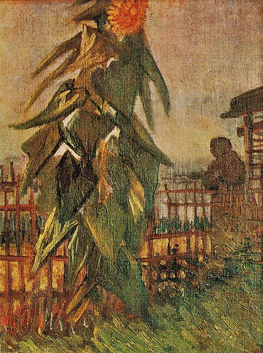 Garden With Sunflowers by Vincent van Gogh