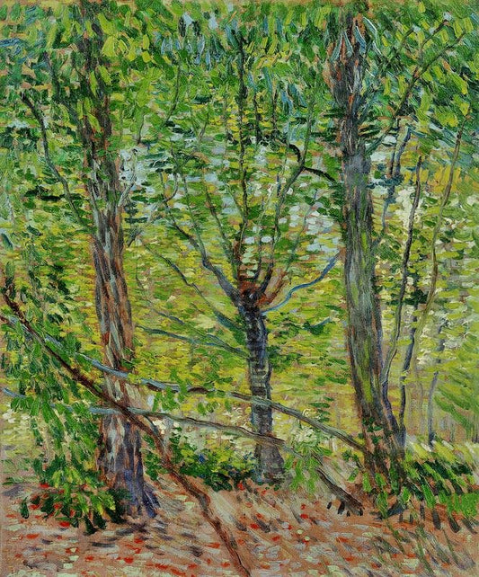 Trees And Undergrowth by Vincent van Gogh