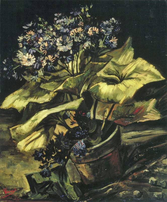 Cineraria In A Flowerpot by Vincent van Gogh