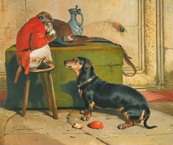 Ziga, A Badger Dog Belonging To The Hereditary Prince Of Saxe-Coburg-Gotha by Edwin Landseer
