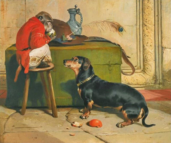 Ziga, A Badger Dog Belonging To The Hereditary Prince Of Saxe-Coburg-Gotha by Edwin Landseer