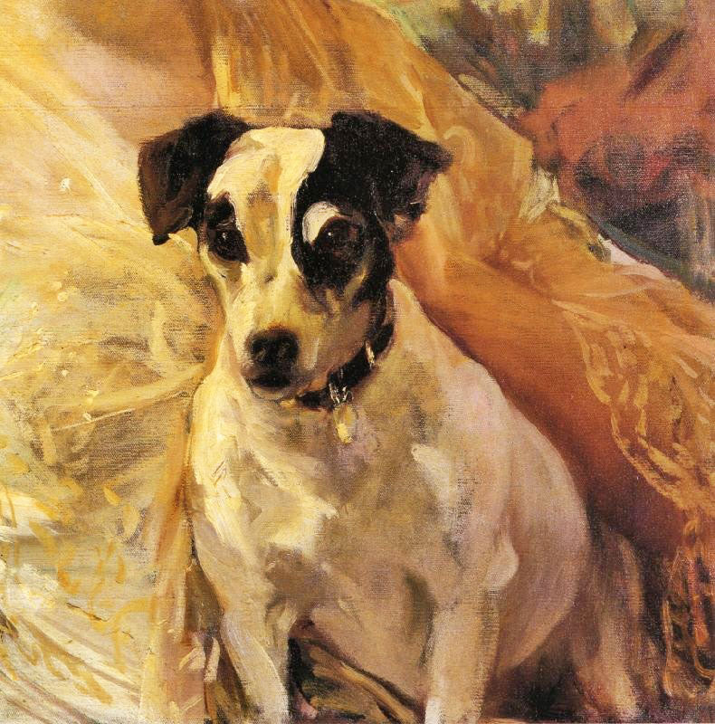 Portrait Of A Jack Russell by Joaquin Sorolla y Bastida