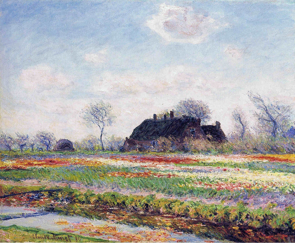 TULIP FIELDS AT SASSENHEIM