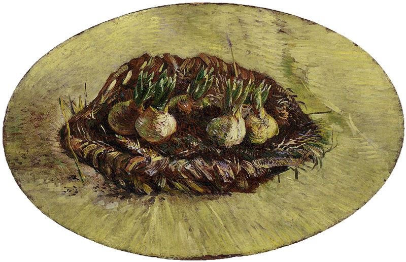BASKET OF SPROUTING BULBS