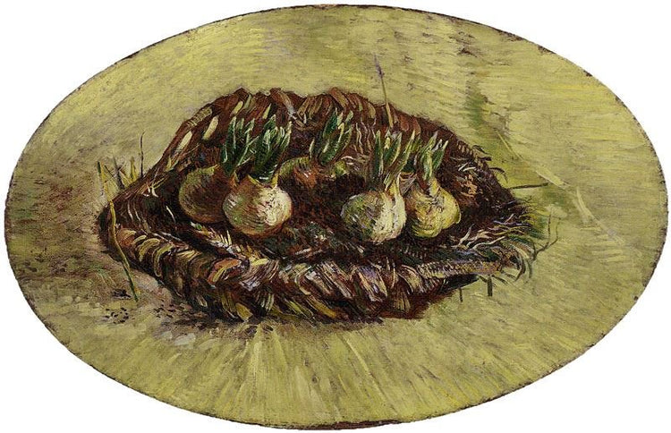 Basket Of Sprouting Bulbs by Vincent van Gogh