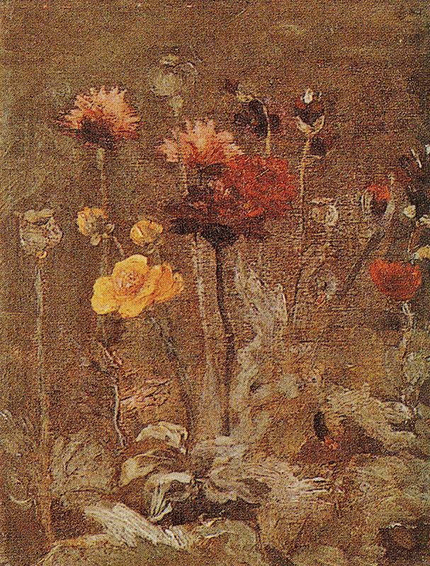 Scabiosa And Ranunculus by Vincent van Gogh