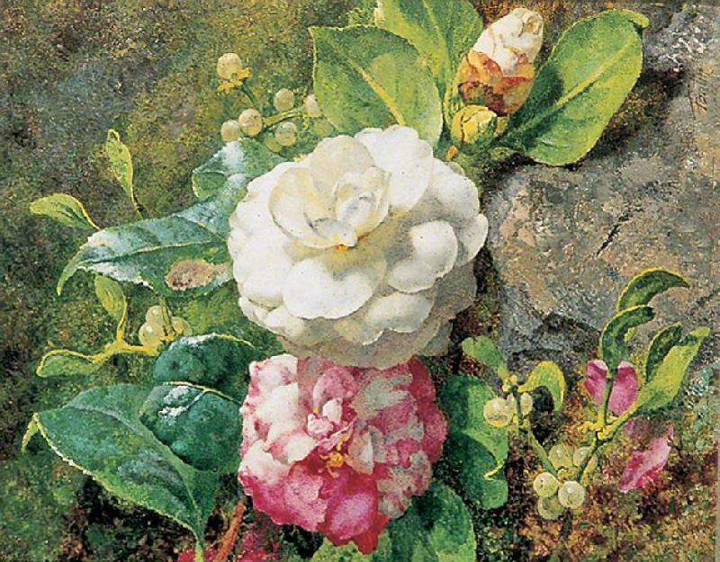 Camelias by Henri Fantin-Latour