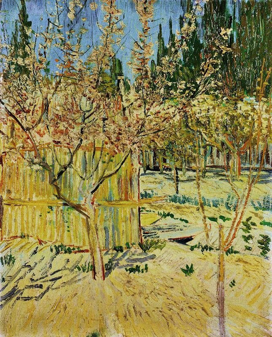 Apricot Trees In Blossom by Vincent van Gogh