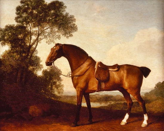 A Saddled Bay Hunter by George Stubbs