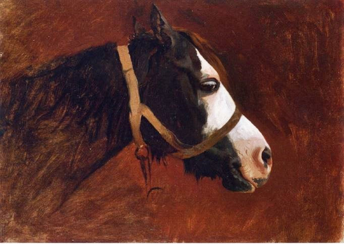 Profile Of A Horse by Jean-Léon Gérôme