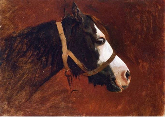 Profile Of A Horse by Jean-Léon Gérôme