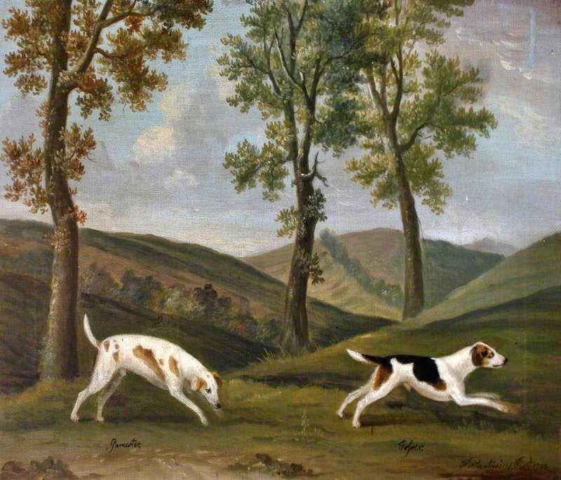 Gamertes And Josser, A Pair Of Hounds by Francis Sartorius