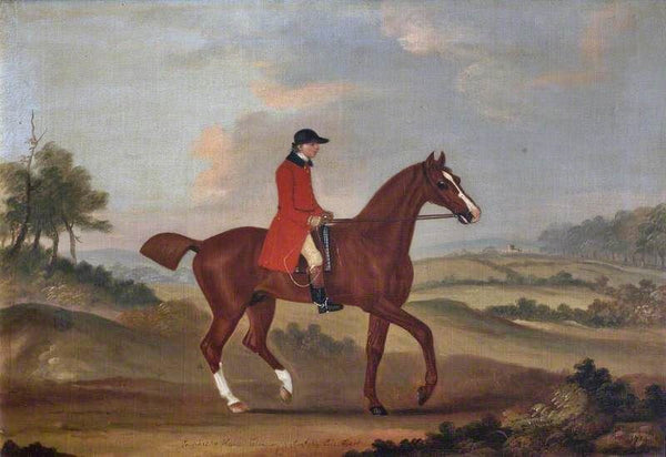 Prophet, A Hunter Belonging To Sir John Pole by Francis Sartorius