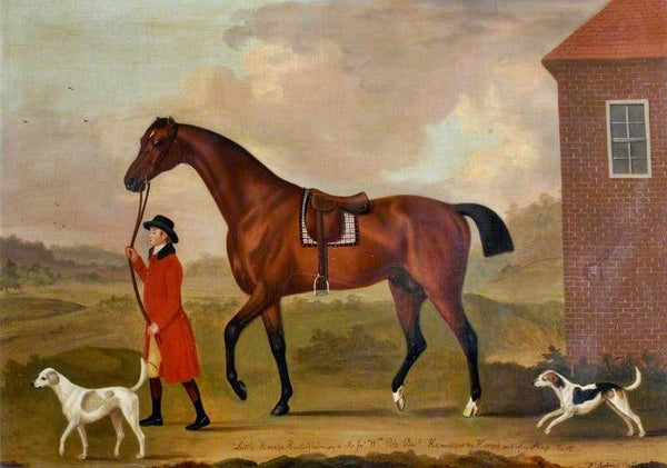 Little Hero (A Hunter), Belonging To Sir John William De La Pole by Francis Sartorius