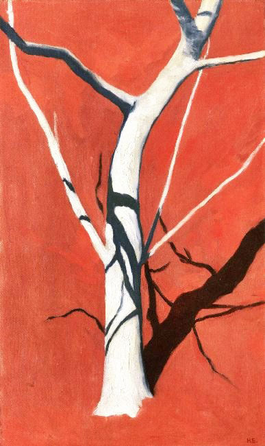 Fig Tree In Front Of Red Soil by Hans Emmenegger