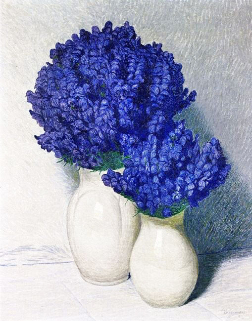 Monkshood by Hans Emmenegger
