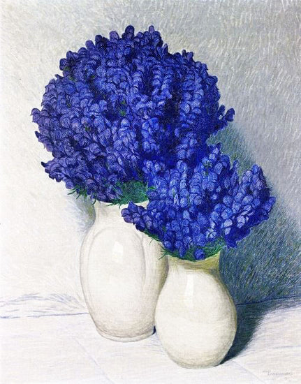 Monkshood by Hans Emmenegger