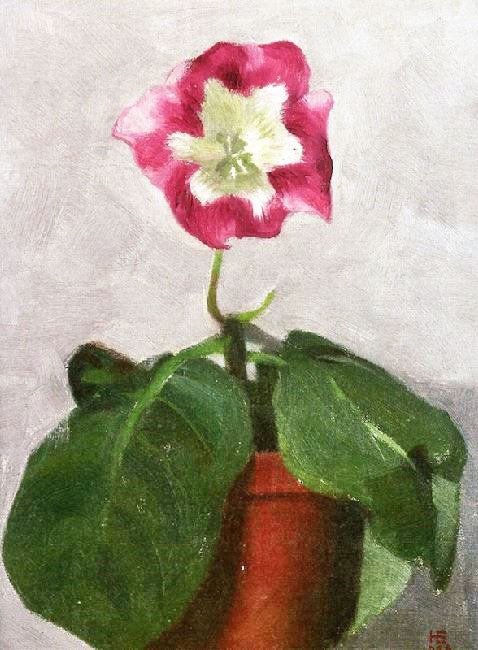 Gloxinia by Hans Emmenegger