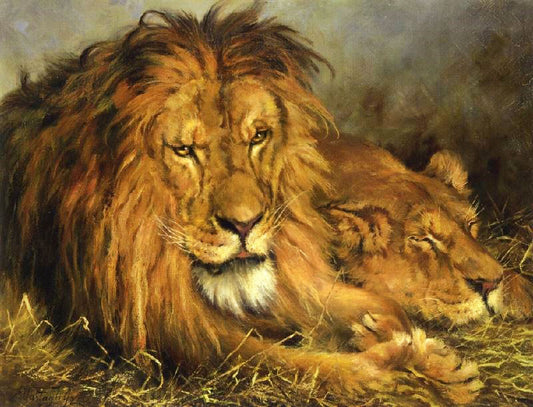 A Lion And Lioness by Geza Vastagh