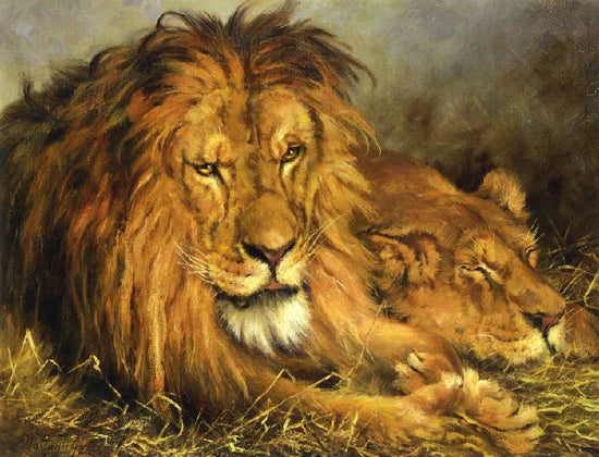 A Lion And Lioness by Geza Vastagh