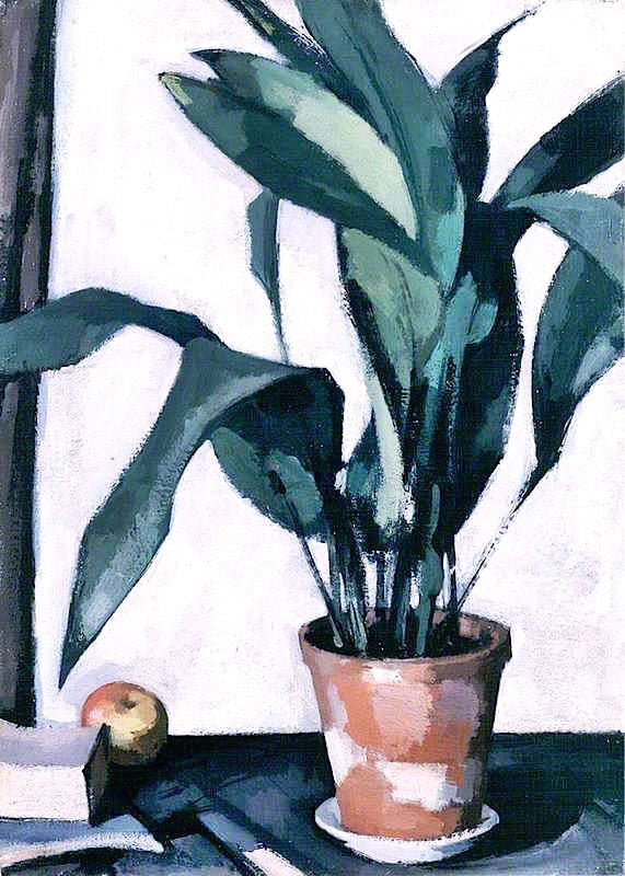 Aspidistra by Samuel John Peploe