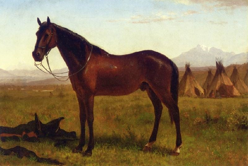 PORTRAIT OF A HORSE