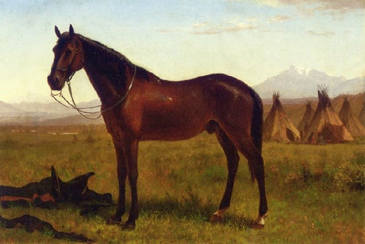 Portrait Of A Horse by Albert Bierstadt