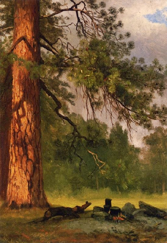 Yosemite Camp Kitchen by Albert Bierstadt