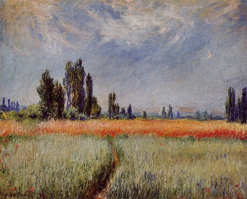 THE WHEAT FIELD