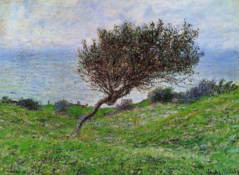 ON THE COAST AT TROUVILLE