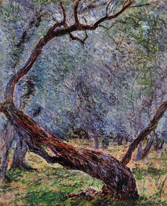 Study Of Olive Trees by Claude Oscar Monet