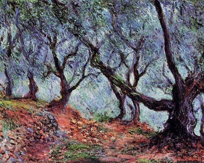 Grove Of Olive Trees In Bordighera by Claude Oscar Monet
