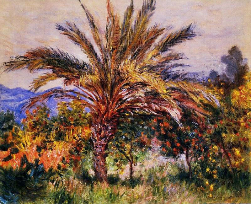 A Palm Tree At Bordighera by Claude Oscar Monet