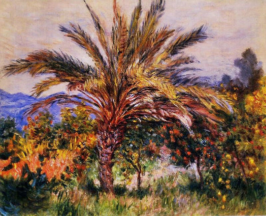 A Palm Tree At Bordighera by Claude Oscar Monet