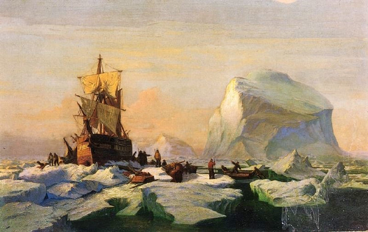 Trapped In The Ice by William Bradford