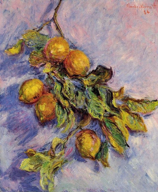 Lemons On A Branch by Claude Oscar Monet