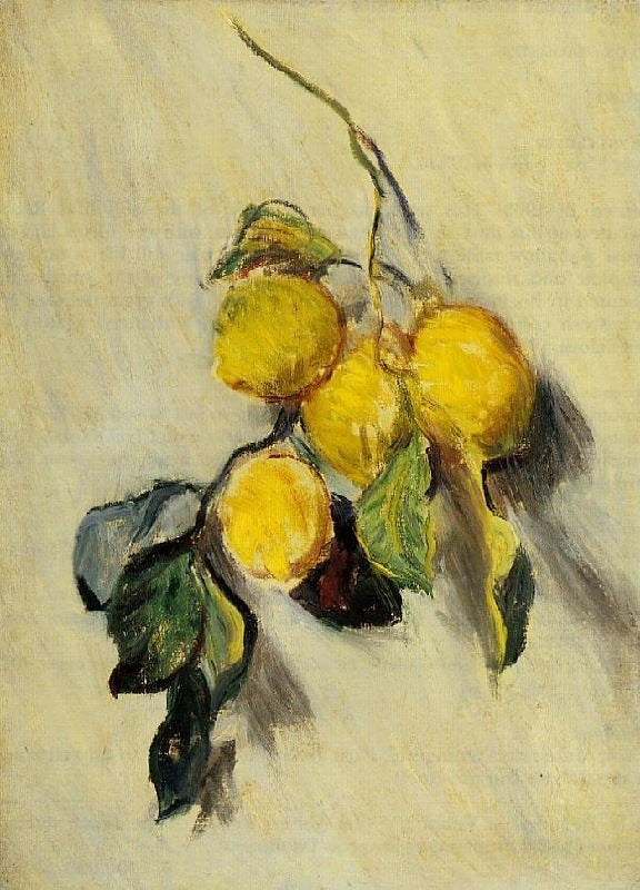 BRANCH OF LEMONS