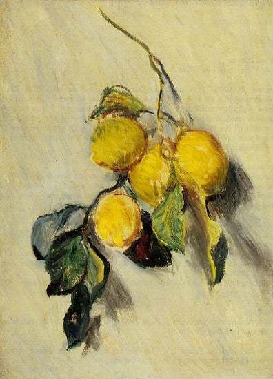 Branch Of Lemons by Claude Oscar Monet