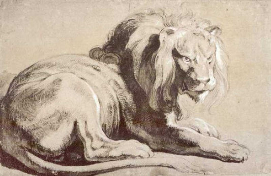 Etude Of Lion by Peter Paul Rubens