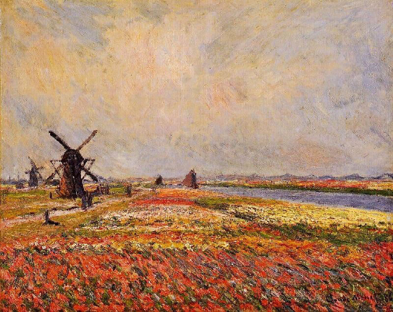 Fields Of Flowers And Windmills Near Leiden by Claude Oscar Monet