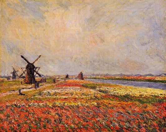 Fields Of Flowers And Windmills Near Leiden by Claude Oscar Monet