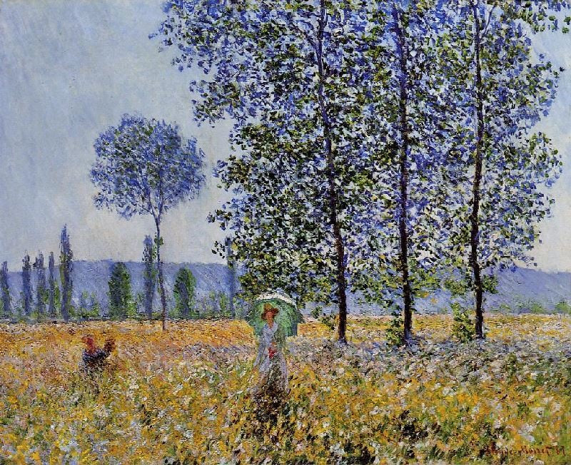 SUNLIGHT EFFECT UNDER THE POPLARS