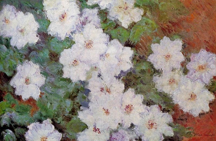 Clematis by Claude Oscar Monet