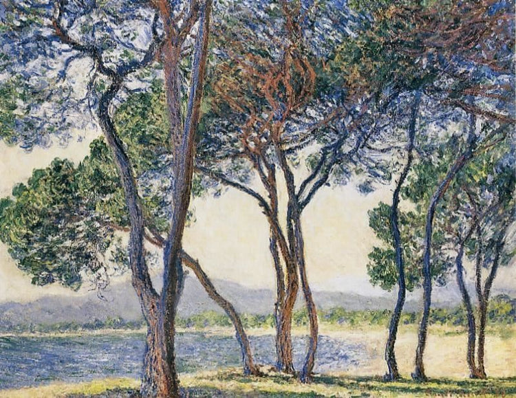 Trees By The Seashore At Antibes by Claude Oscar Monet