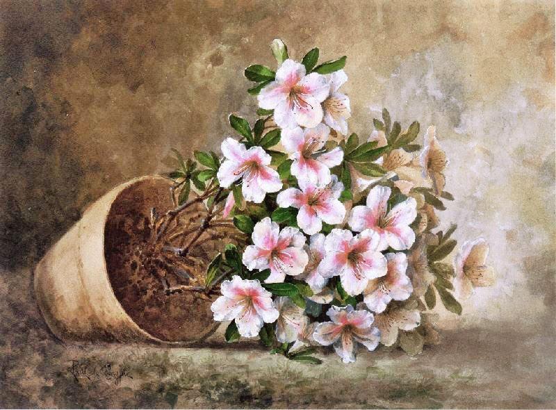 White Azaleas In A Flower Pot by Paul De Longpre