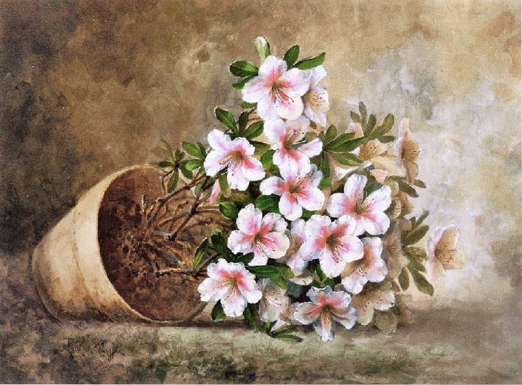 White Azaleas In A Flower Pot by Paul De Longpre