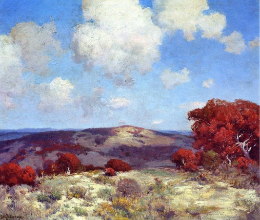 In The Hills Of The Spanish Oaks by Julian Onderdonk