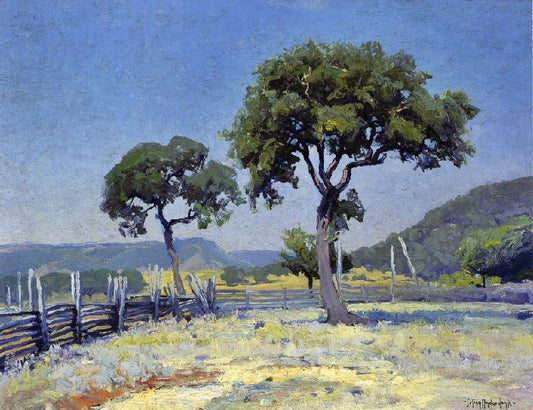 Live Oak Trees On Williams’ Ranch, Bandera County by Julian Onderdonk